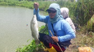 MOMEN LANGKA DI ATAS JEMBATAN! Hujan Guyur Pemancing, Akhirnya Satu Ekor Kakap 1 Kg Terangkat di Bratasena Mandiri