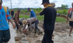 Bersama Rakyat, Polsek Denteteladas dan TNI Bergotong-royong Perbaiki Jalan Rusak: Wujud Kepedulian, Persatuan dan Semangat Asta Cita
