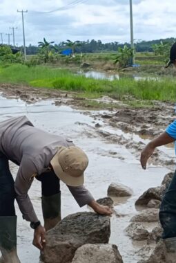BARU KALI INI KAMI LIHAT: KAPOLSEK DENTETELADAS IKUT ANGKAT BATU DAN PASIR, BENER‑BENER BERBAUR DENGAN RAKYAT