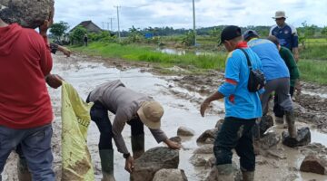 BARU KALI INI KAMI LIHAT: KAPOLSEK DENTETELADAS IKUT ANGKAT BATU DAN PASIR, BENER‑BENER BERBAUR DENGAN RAKYAT