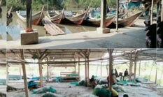 Alur Dangkal, Nelayan di Kanal Sungai Mahabang Tulang Bawang Kesulitan Melaut
